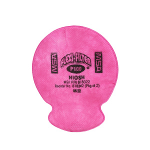Flexi-Filter P100, 1/EA #818342