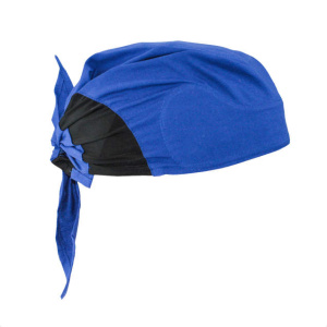Arctic Radwear® Head Shade, Blue, 1/EA # RCS305