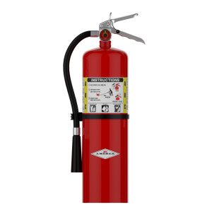 10lb ABC Fire Extinguisher, 1/EA, #B456
